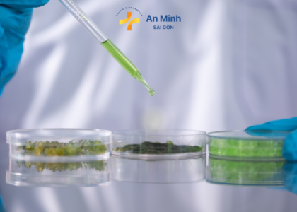 DHA từ tảo biển