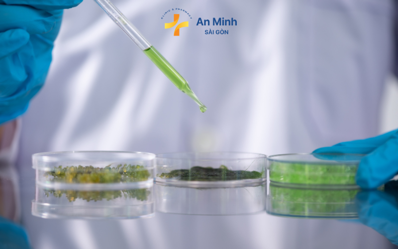 DHA Từ Dầu Cá Và DHA Từ Tảo – Đâu Là Lựa Chọn Tốt Nhất Cho Trẻ?